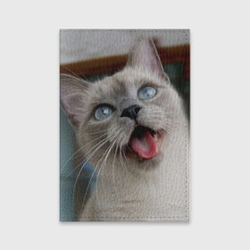 Обложка для паспорта матовая кожа с принтом Сиамский котенок в Петрозаводске, натуральная матовая кожа | размер 19,3 х 13,7 см; прозрачные пластиковые крепления | Тематика изображения на принте: животные | кот | котенок | котик | кошечка | кошка | милый | мордочка | показывает язык | прикол | серый | сиамская | сиамская кошка | сиамский котенок | юмор | язык