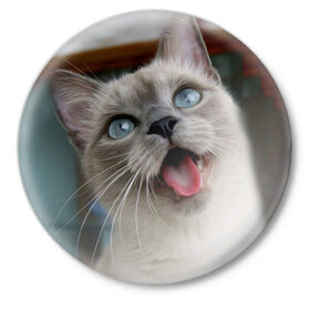 Значок с принтом Сиамский котенок в Петрозаводске,  металл | круглая форма, металлическая застежка в виде булавки | Тематика изображения на принте: животные | кот | котенок | котик | кошечка | кошка | милый | мордочка | показывает язык | прикол | серый | сиамская | сиамская кошка | сиамский котенок | юмор | язык