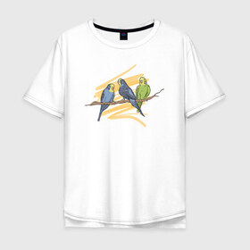 Мужская футболка хлопок Oversize с принтом Попугай в Петрозаводске, 100% хлопок | свободный крой, круглый ворот, “спинка” длиннее передней части | bird | попугаи | попугай | птица | птицы
