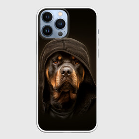 Чехол для iPhone 13 Pro Max с принтом Ротвейлер в капюшоне в Петрозаводске,  |  | Тематика изображения на принте: rottweiler | капюшон | молоссы | пастух | пёс | собака | щенок