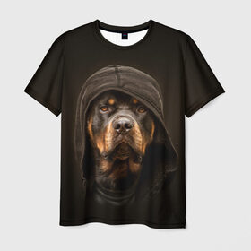 Мужская футболка 3D с принтом Ротвейлер в капюшоне в Петрозаводске, 100% полиэфир | прямой крой, круглый вырез горловины, длина до линии бедер | Тематика изображения на принте: rottweiler | капюшон | молоссы | пастух | пёс | собака | щенок