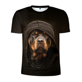 Мужская футболка 3D спортивная с принтом Ротвейлер в капюшоне в Петрозаводске, 100% полиэстер с улучшенными характеристиками | приталенный силуэт, круглая горловина, широкие плечи, сужается к линии бедра | Тематика изображения на принте: rottweiler | капюшон | молоссы | пастух | пёс | собака | щенок