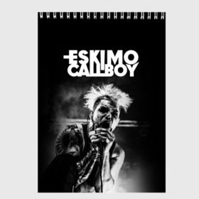 Скетчбук с принтом Eskimo Callboy в Петрозаводске, 100% бумага
 | 48 листов, плотность листов — 100 г/м2, плотность картонной обложки — 250 г/м2. Листы скреплены сверху удобной пружинной спиралью | Тематика изображения на принте: bury me in vegas | crystals | danskimo | eskimo callboy | sushi | the scene | we are the mess | группы | метал | музыка | рок | эскимо колбой