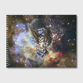 Альбом для рисования с принтом сова космическая в Петрозаводске, 100% бумага
 | матовая бумага, плотность 200 мг. | owl | галактика | звезды | космос | млечный путь | ночь | птица | сова | филин