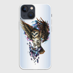 Чехол для iPhone 13 mini с принтом сова в Петрозаводске,  |  | owl | кристаллы | ночь | птица | сова | филин