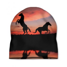 Шапка 3D с принтом Кони на закате в Петрозаводске, 100% полиэстер | универсальный размер, печать по всей поверхности изделия | животные | закат | кони | конь | лошади | лошадь | природа