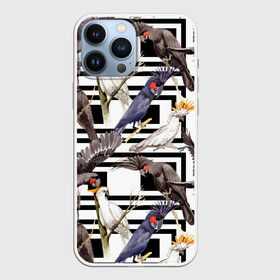 Чехол для iPhone 13 Pro Max с принтом Попугаи какаду в Петрозаводске,  |  | birds | bri | cockatoo | exotic | jungle | palm | parrots | tropical | акварель | геометрический | графика | джунгли | иллюстрация | картинка | мода | молодежная | орнамент | пальмы | попугаи | птицы | рисунок | стиль