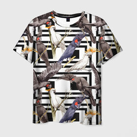 Мужская футболка 3D с принтом Попугаи какаду в Петрозаводске, 100% полиэфир | прямой крой, круглый вырез горловины, длина до линии бедер | birds | bri | cockatoo | exotic | jungle | palm | parrots | tropical | акварель | геометрический | графика | джунгли | иллюстрация | картинка | мода | молодежная | орнамент | пальмы | попугаи | птицы | рисунок | стиль
