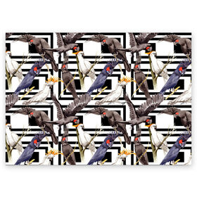 Поздравительная открытка с принтом Попугаи какаду в Петрозаводске, 100% бумага | плотность бумаги 280 г/м2, матовая, на обратной стороне линовка и место для марки
 | birds | bri | cockatoo | exotic | jungle | palm | parrots | tropical | акварель | геометрический | графика | джунгли | иллюстрация | картинка | мода | молодежная | орнамент | пальмы | попугаи | птицы | рисунок | стиль