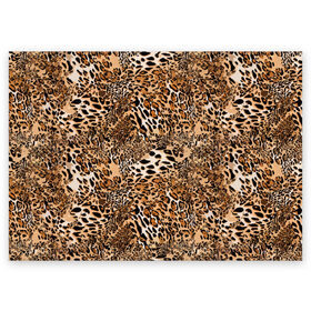Поздравительная открытка с принтом Леопард в Петрозаводске, 100% бумага | плотность бумаги 280 г/м2, матовая, на обратной стороне линовка и место для марки
 | Тематика изображения на принте: camouflage | cat | disguise | fashion | illustration | jungle | leopard | predator | skin | spots | style | wild | youth | графика | джунгли | дикий | иллюстрация | камуфляж | картинка | кошка | леопард | маскировка | мода | молодежная | пятна | рисунок |