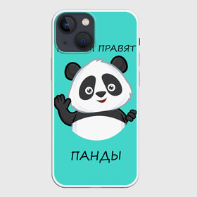 Чехол для iPhone 13 mini с принтом ПАНДА в Петрозаводске,  |  | bear | panda | the world is ruled by pandas | животное | медведь | мир | панда | правят панды | приветы | просто красавчик