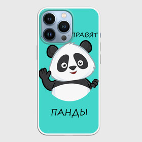 Чехол для iPhone 13 Pro с принтом ПАНДА в Петрозаводске,  |  | bear | panda | the world is ruled by pandas | животное | медведь | мир | панда | правят панды | приветы | просто красавчик