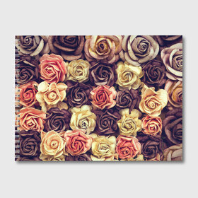 Альбом для рисования с принтом Шоколадные розы в Петрозаводске, 100% бумага
 | матовая бумага, плотность 200 мг. | бабушке | девочке | девушке | дочке | желтые цветы | женщине | маме | подруге | природа | розовые цветы | розы | сестре | теще | тюльпаны | цветы