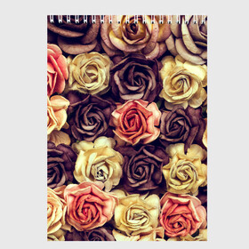 Скетчбук с принтом Шоколадные розы в Петрозаводске, 100% бумага
 | 48 листов, плотность листов — 100 г/м2, плотность картонной обложки — 250 г/м2. Листы скреплены сверху удобной пружинной спиралью | бабушке | девочке | девушке | дочке | желтые цветы | женщине | маме | подруге | природа | розовые цветы | розы | сестре | теще | тюльпаны | цветы