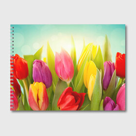 Альбом для рисования с принтом Тюльпаны в Петрозаводске, 100% бумага
 | матовая бумага, плотность 200 мг. | бабушке | девочке | девушке | дочке | желтые цветы | женщине | маме | подруге | природа | розовые цветы | розы | сестре | теще | тюльпаны | цветы