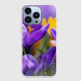 Чехол для iPhone 13 Pro с принтом Фиолетовые цветы в Петрозаводске,  |  | бабушке | девочке | девушке | дочке | желтые цветы | женщине | маме | подруге | природа | розовые цветы | розы | сестре | теще | тюльпаны | цветы