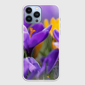 Чехол для iPhone 13 Pro Max с принтом Фиолетовые цветы в Петрозаводске,  |  | бабушке | девочке | девушке | дочке | желтые цветы | женщине | маме | подруге | природа | розовые цветы | розы | сестре | теще | тюльпаны | цветы