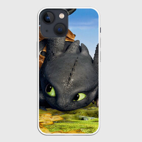 Чехол для iPhone 13 mini с принтом Как приручить дракона в Петрозаводске,  |  | детский мультфильм | детям | для детей | дракон | как приручить дракона | мультик | мультфильм