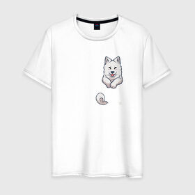 Мужская футболка хлопок с принтом Песик в Кармане в Петрозаводске, 100% хлопок | прямой крой, круглый вырез горловины, длина до линии бедер, слегка спущенное плечо. | Тематика изображения на принте: anime | dog | happy | kawaii | акита | аниме | белый | милый | мимими | овчарка | пес | плюшевый | пушистик | самоед | собака | собакен | счастливый | щенок