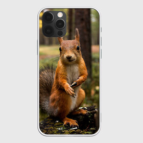 Чехол для iPhone 12 Pro Max с принтом Белочка в Петрозаводске, Силикон |  | белка | веселая | весна | глаза | грызун | деревья | зверек | зверь | зеленая | зелень | классная | лес | лето | новинка | осень | пенек | позирует | прикольная | природа | пушистая | рыжая | семечки | фото