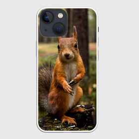 Чехол для iPhone 13 mini с принтом Белочка в Петрозаводске,  |  | белка | веселая | весна | глаза | грызун | деревья | зверек | зверь | зеленая | зелень | классная | лес | лето | новинка | осень | пенек | позирует | прикольная | природа | пушистая | рыжая | семечки | фото