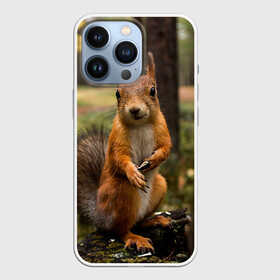 Чехол для iPhone 13 Pro с принтом Белочка в Петрозаводске,  |  | белка | веселая | весна | глаза | грызун | деревья | зверек | зверь | зеленая | зелень | классная | лес | лето | новинка | осень | пенек | позирует | прикольная | природа | пушистая | рыжая | семечки | фото