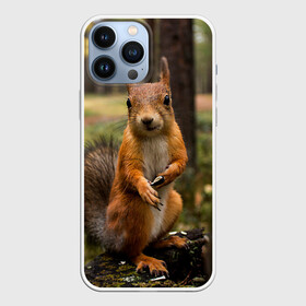 Чехол для iPhone 13 Pro Max с принтом Белочка в Петрозаводске,  |  | белка | веселая | весна | глаза | грызун | деревья | зверек | зверь | зеленая | зелень | классная | лес | лето | новинка | осень | пенек | позирует | прикольная | природа | пушистая | рыжая | семечки | фото