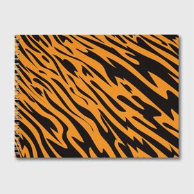 Альбом для рисования с принтом Тигр в Петрозаводске, 100% бумага
 | матовая бумага, плотность 200 мг. | животное | зверь | кардашьян | ким | кот | лев | оранжевый | полосы | рыжий | тигр | черный