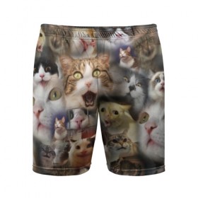 Мужские шорты 3D спортивные с принтом Те самые коты в Петрозаводске,  |  | грустный кот мем | кот | кот мем | коты | кошка | мем | мем про котов | мемы | мемы с котами