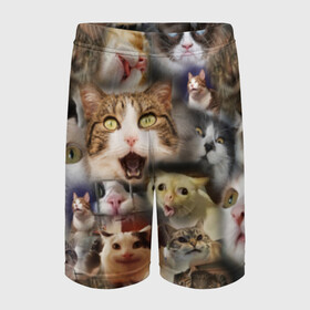 Детские спортивные шорты 3D с принтом Те самые коты в Петрозаводске,  100% полиэстер
 | пояс оформлен широкой мягкой резинкой, ткань тянется
 | Тематика изображения на принте: грустный кот мем | кот | кот мем | коты | кошка | мем | мем про котов | мемы | мемы с котами