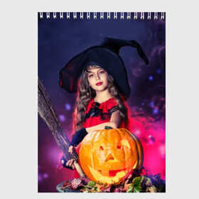 Скетчбук с принтом Маленькая ведьма в Петрозаводске, 100% бумага
 | 48 листов, плотность листов — 100 г/м2, плотность картонной обложки — 250 г/м2. Листы скреплены сверху удобной пружинной спиралью | beautiful | crimson | cute | dress | girl | gloves | hair | halloween | hat | holiday | little | long | night | pumpkin | red | smoke | witch | ведьма | волосы | д | девочка | держит | дым | красивая | красная | маленькая | малиновый | метла | милая | ноч