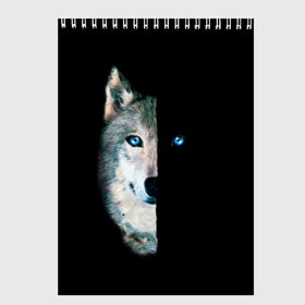 Скетчбук с принтом Волк в Петрозаводске, 100% бумага
 | 48 листов, плотность листов — 100 г/м2, плотность картонной обложки — 250 г/м2. Листы скреплены сверху удобной пружинной спиралью | animal | art | blue | day | head | muzzle | night | predator | view | wild | wolf | взгляд | волк | голова | день | дикий | животное | искусство | ночь | синий | хищник
