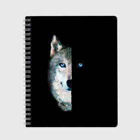 Тетрадь с принтом Волк в Петрозаводске, 100% бумага | 48 листов, плотность листов — 60 г/м2, плотность картонной обложки — 250 г/м2. Листы скреплены сбоку удобной пружинной спиралью. Уголки страниц и обложки скругленные. Цвет линий — светло-серый
 | animal | art | blue | day | head | muzzle | night | predator | view | wild | wolf | взгляд | волк | голова | день | дикий | животное | искусство | ночь | синий | хищник