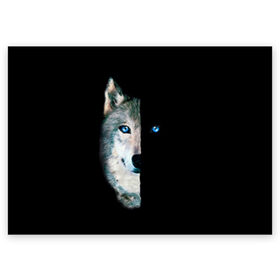 Поздравительная открытка с принтом Волк в Петрозаводске, 100% бумага | плотность бумаги 280 г/м2, матовая, на обратной стороне линовка и место для марки
 | Тематика изображения на принте: animal | art | blue | day | head | muzzle | night | predator | view | wild | wolf | взгляд | волк | голова | день | дикий | животное | искусство | ночь | синий | хищник