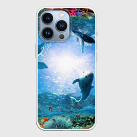 Чехол для iPhone 13 Pro с принтом Дельфины в Петрозаводске,  |  | fish | аква | аквариум | вода | кораллы | море | океан | ракушки | рыбки | рыбы