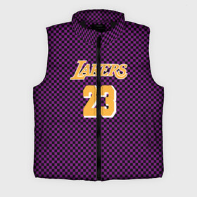 Мужской жилет утепленный 3D с принтом Lebron James в Петрозаводске,  |  | jersey | king james | lakers | lebron | lebron james | los angeles lakers | джерси | леброн | леброн джеймс