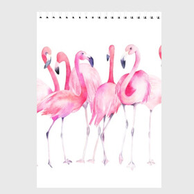 Скетчбук с принтом Фламинго в Петрозаводске, 100% бумага
 | 48 листов, плотность листов — 100 г/м2, плотность картонной обложки — 250 г/м2. Листы скреплены сверху удобной пружинной спиралью | art | birds | flamingo | flock | illustration | pink | summer | watercolor | акварель | иллюстрация | искусство | лето | птицы | розовый | стая | фламинго