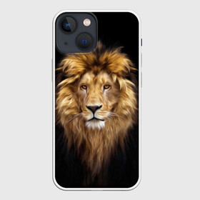Чехол для iPhone 13 mini с принтом Лев в Петрозаводске,  |  | african | animals | authority | big | cat | cool | head | illustration | indisputable | lion | mane | muzzle | supreme | swag | авторитет | африканский | большая | верховный | голова | грива | животные | иллюстрация | кошка | крутой | лев | непрер