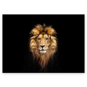 Поздравительная открытка с принтом Лев в Петрозаводске, 100% бумага | плотность бумаги 280 г/м2, матовая, на обратной стороне линовка и место для марки
 | Тематика изображения на принте: african | animals | authority | big | cat | cool | head | illustration | indisputable | lion | mane | muzzle | supreme | swag | авторитет | африканский | большая | верховный | голова | грива | животные | иллюстрация | кошка | крутой | лев | непрер