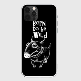 Чехол для iPhone 12 Pro с принтом Born to be wild в Петрозаводске, силикон | область печати: задняя сторона чехла, без боковых панелей | Тематика изображения на принте: angry | animals | authority | b | black and white | bull terrier | bully | cool | dog | fight | illustration | swag | thug | wild | авторитет | бандит | бойцовый | бультерьер | дикий | животные | злой | иллюстрация | крутой | надпись | ошейник | п