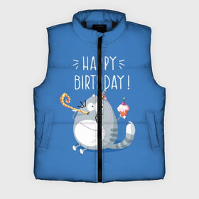 Мужской жилет утепленный 3D с принтом Happy birthday в Петрозаводске,  |  | berry | birthday | cake | cap | cat | cherry | gray | holds | holiday | inscription | party | sits | striped | sweetness | вечеринка | вишня | день рождения | держит | колпак | кот | надпись | пирожное | полосатый | праздник | серый | сидит | сладость | я