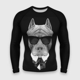 Мужской рашгард 3D с принтом Питбуль в Петрозаводске,  |  | animals | black | black and white | cool | dog | fight | gentleman | head | illustration | pitbull | swag | white | авторитет | белая | бойцовый | галстук бабочка | голова | джентльмен | животные | иллюстрация | костюм | крутой | очки | 