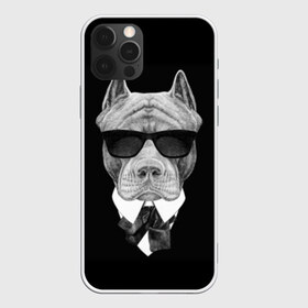 Чехол для iPhone 12 Pro Max с принтом Питбуль в Петрозаводске, Силикон |  | animals | black | black and white | cool | dog | fight | gentleman | head | illustration | pitbull | swag | white | авторитет | белая | бойцовый | галстук бабочка | голова | джентльмен | животные | иллюстрация | костюм | крутой | очки | 