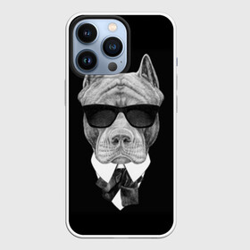 Чехол для iPhone 13 Pro с принтом Питбуль в Петрозаводске,  |  | animals | black | black and white | cool | dog | fight | gentleman | head | illustration | pitbull | swag | white | авторитет | белая | бойцовый | галстук бабочка | голова | джентльмен | животные | иллюстрация | костюм | крутой | очки | 