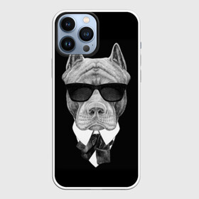 Чехол для iPhone 13 Pro Max с принтом Питбуль в Петрозаводске,  |  | animals | black | black and white | cool | dog | fight | gentleman | head | illustration | pitbull | swag | white | авторитет | белая | бойцовый | галстук бабочка | голова | джентльмен | животные | иллюстрация | костюм | крутой | очки | 