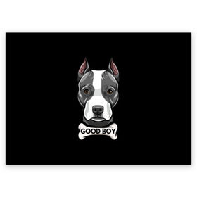 Поздравительная открытка с принтом Стаффордширский терьер в Петрозаводске, 100% бумага | плотность бумаги 280 г/м2, матовая, на обратной стороне линовка и место для марки
 | animal | bone | breed | dog | fight | head | inscription | look | muzzle | staffordshire | terrier | бойцовая | взгляд | голова | животное | кость | надпись | порода | собака | стаффордширский | терьер