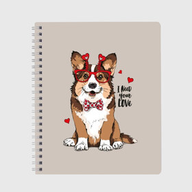 Тетрадь с принтом I need your love в Петрозаводске, 100% бумага | 48 листов, плотность листов — 60 г/м2, плотность картонной обложки — 250 г/м2. Листы скреплены сбоку удобной пружинной спиралью. Уголки страниц и обложки скругленные. Цвет линий — светло-серый
 | animal | bow tie | breed | corgi | cute | dog | funny | hearts | holiday | pembroke | polka dot | red | saint | valentine | валентина | вельш корги | галстук бабочка | горошек | день | животное | красный | любовь | милая | очки | пемброк | пород