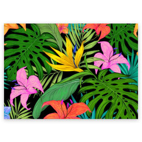 Поздравительная открытка с принтом Тропики. в Петрозаводске, 100% бумага | плотность бумаги 280 г/м2, матовая, на обратной стороне линовка и место для марки
 | весна | красочная | природа | растения | тропические | цветы | яркая