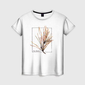 Женская футболка 3D с принтом Pinus Sylvestris в Петрозаводске, 100% полиэфир ( синтетическое хлопкоподобное полотно) | прямой крой, круглый вырез горловины, длина до линии бедер | абстракция | авторская работа | ботаническая иллюстрация | деревья | иллюстрации | минимализм | сосна | цветы