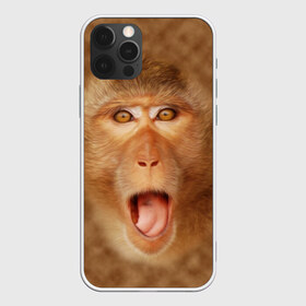 Чехол для iPhone 12 Pro Max с принтом Обезьяна в Петрозаводске, Силикон |  | голова | животные | мартышка | мордочка | обезьяна | открытый | прикол | природа | рот | юмор